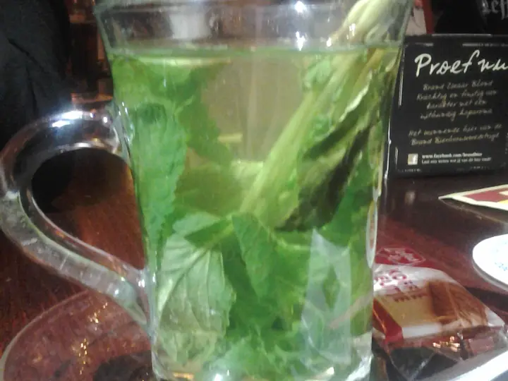 Frischer Minztee im Glas